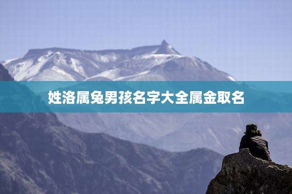 姓洛属兔男孩名字大全属金取名