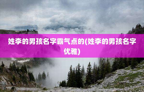 姓李的男孩名字霸气点的(姓李的男孩名字优雅)