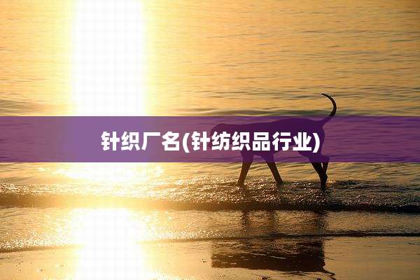 针织厂名(针纺织品行业)