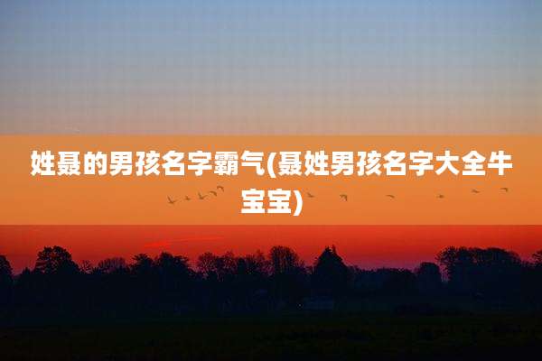 姓聂的男孩名字霸气(聂姓男孩名字大全牛宝宝)