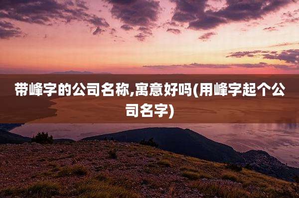 带峰字的公司名称,寓意好吗(用峰字起个公司名字)