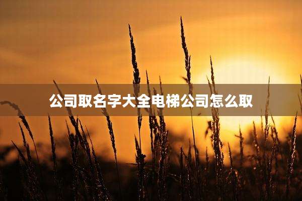 公司取名字大全电梯公司怎么取