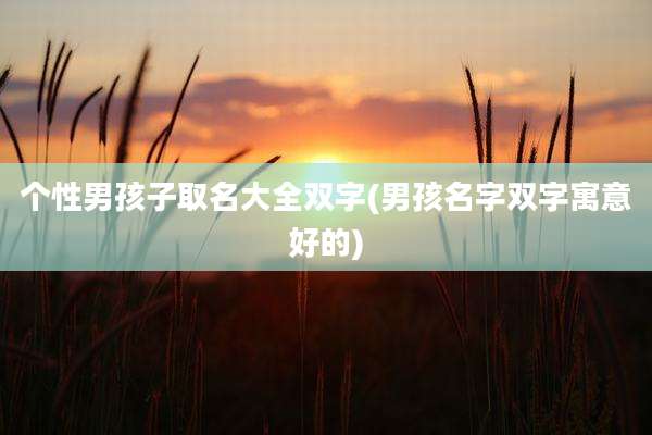 个性男孩子取名大全双字(男孩名字双字寓意好的)