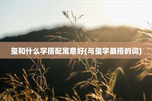 玺和什么字搭配寓意好(与玺字最搭的词)