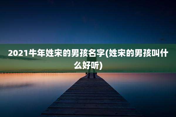 2021牛年姓宋的男孩名字(姓宋的男孩叫什么好听)