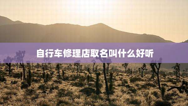 自行车修理店取名叫什么好听