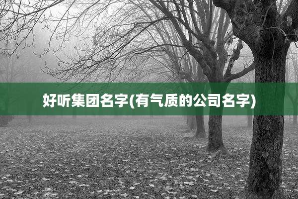 好听集团名字(有气质的公司名字)