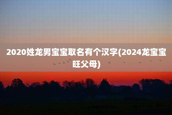 2020姓龙男宝宝取名有个汉字(2024龙宝宝旺父母)