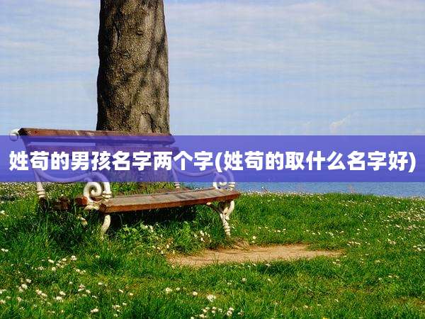 姓苟的男孩名字两个字(姓苟的取什么名字好)