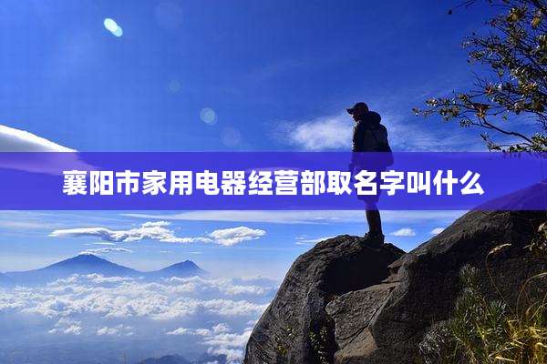 襄阳市家用电器经营部取名字叫什么