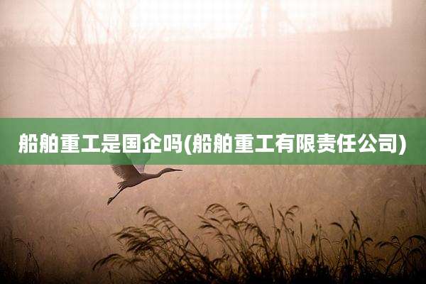 船舶重工是国企吗(船舶重工有限责任公司)