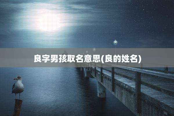 良字男孩取名意思(良的姓名)