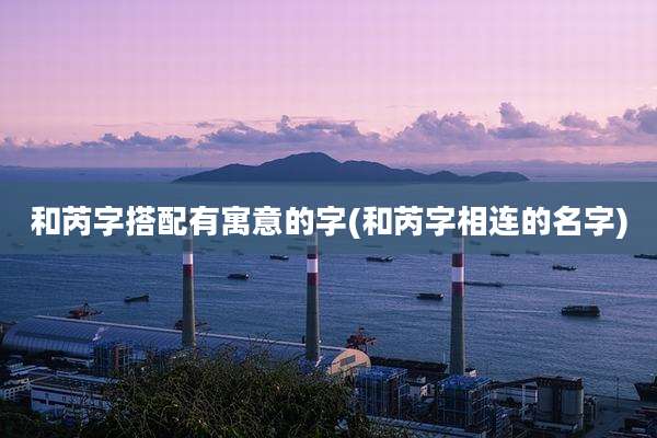 和芮字搭配有寓意的字(和芮字相连的名字)