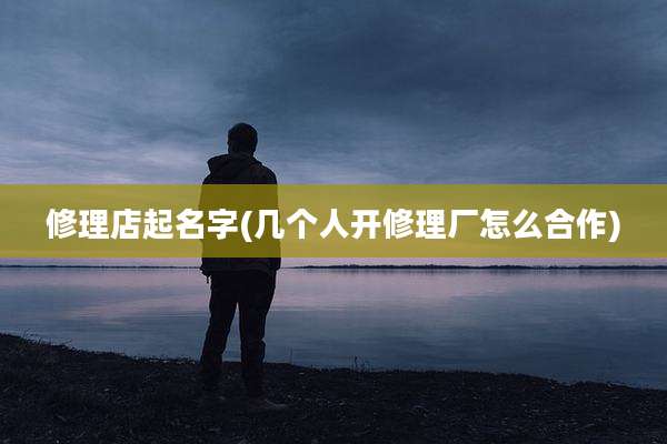 修理店起名字(几个人开修理厂怎么合作)