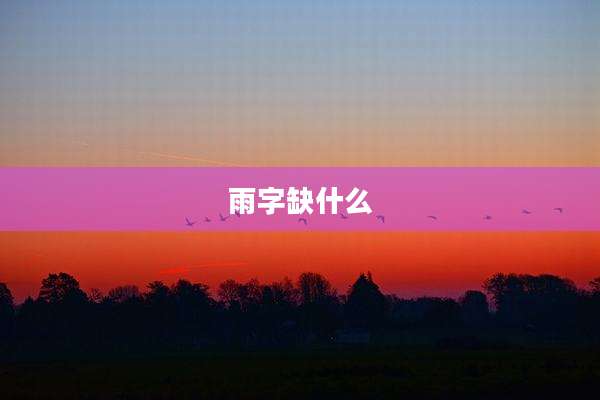 雨字缺什么