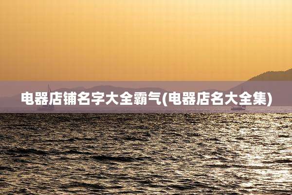 电器店铺名字大全霸气(电器店名大全集)