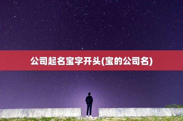 公司起名宝字开头(宝的公司名)