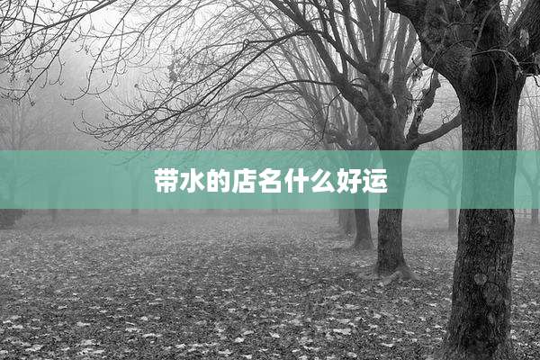 带水的店名什么好运