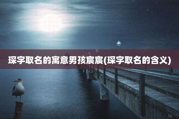 琛字取名的寓意男孩宸宸(琛字取名的含义)