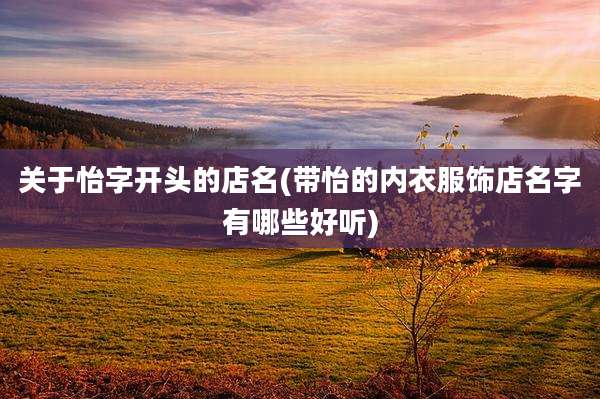 关于怡字开头的店名(带怡的内衣服饰店名字有哪些好听)