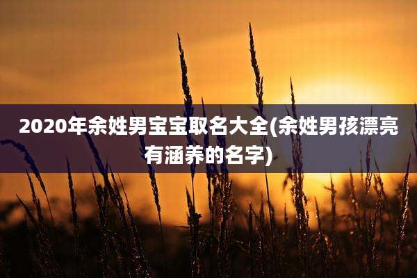 2020年余姓男宝宝取名大全(余姓男孩漂亮有涵养的名字)