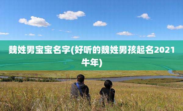 魏姓男宝宝名字(好听的魏姓男孩起名2021牛年)