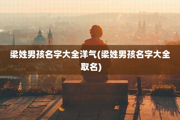 梁姓男孩名字大全洋气(梁姓男孩名字大全 取名)