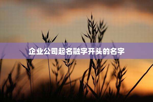 企业公司起名融字开头的名字