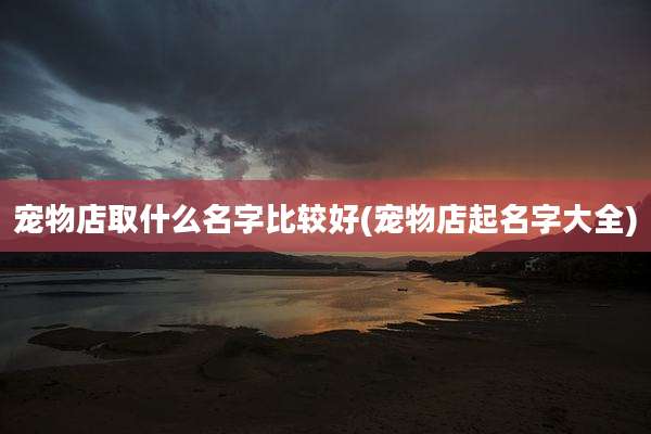 宠物店取什么名字比较好(宠物店起名字大全)