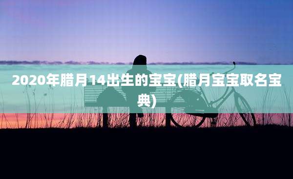 2020年腊月14出生的宝宝(腊月宝宝取名宝典)