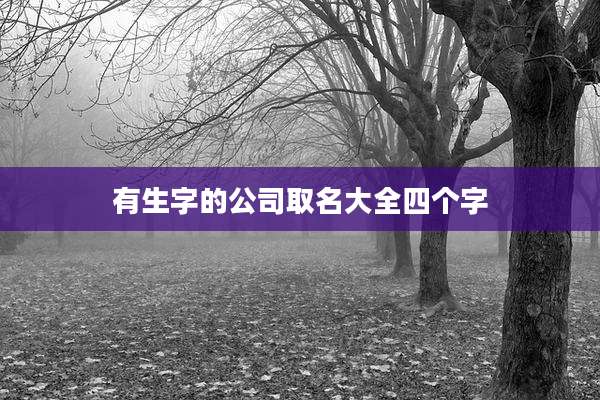 有生字的公司取名大全四个字