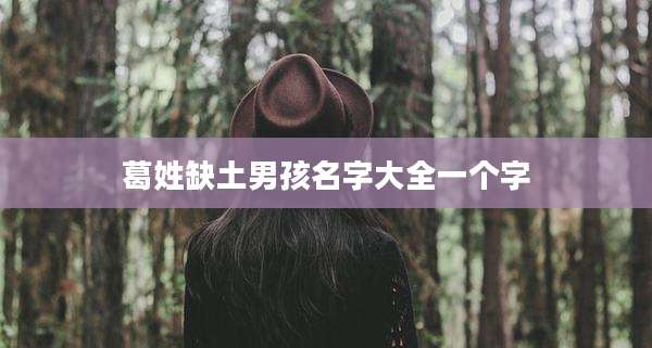 葛姓缺土男孩名字大全一个字