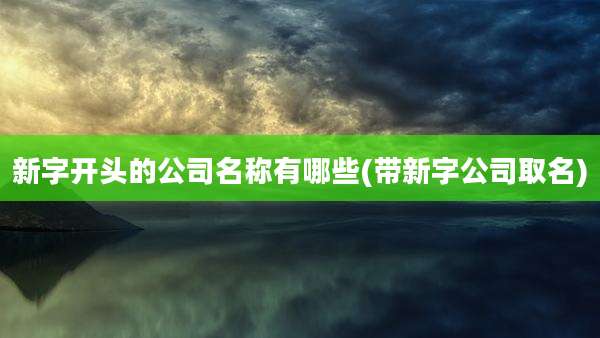 新字开头的公司名称有哪些(带新字公司取名)