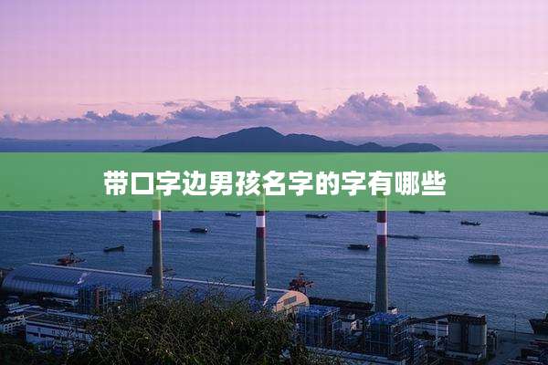 带口字边男孩名字的字有哪些