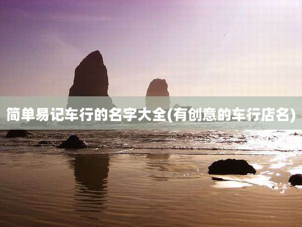 简单易记车行的名字大全(有创意的车行店名)