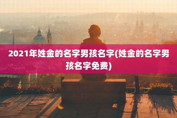 2021年姓金的名字男孩名字(姓金的名字男孩名字免费)