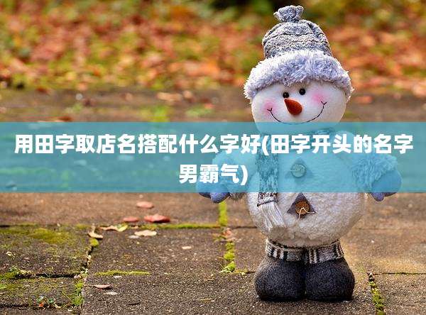 用田字取店名搭配什么字好(田字开头的名字男霸气)