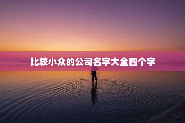 比较小众的公司名字大全四个字