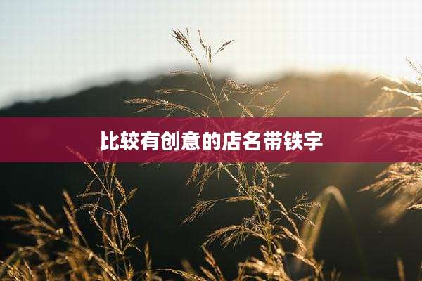 比较有创意的店名带铁字