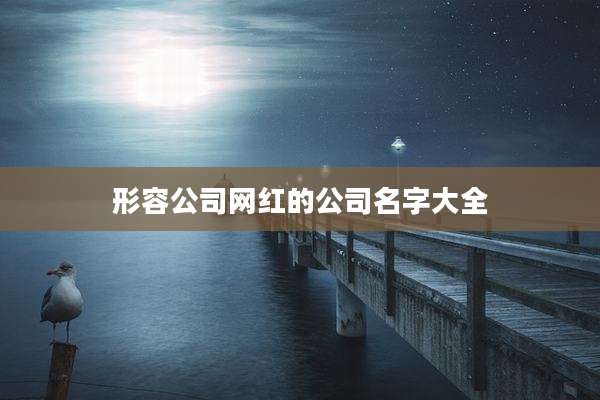 形容公司网红的公司名字大全