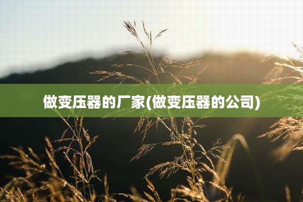 做变压器的厂家(做变压器的公司)