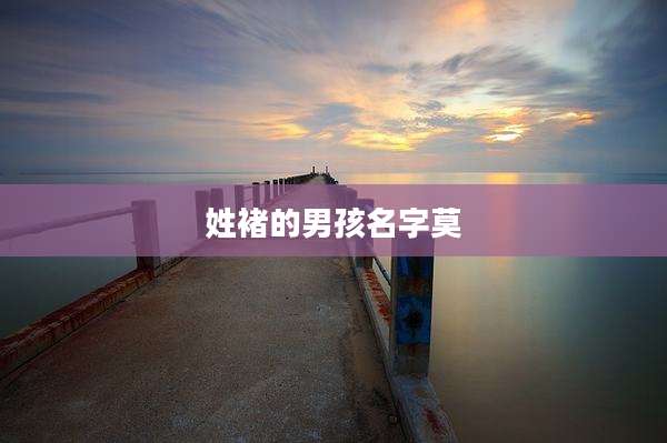 姓褚的男孩名字莫
