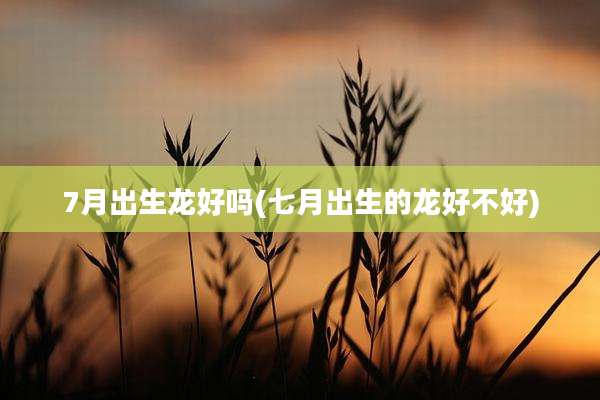 7月出生龙好吗(七月出生的龙好不好)