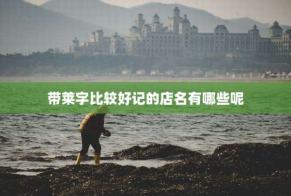 带莱字比较好记的店名有哪些呢