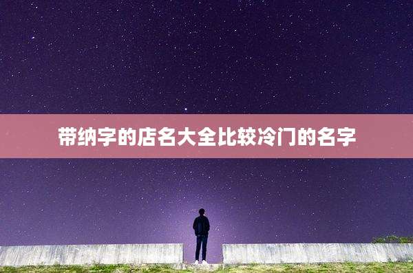 带纳字的店名大全比较冷门的名字