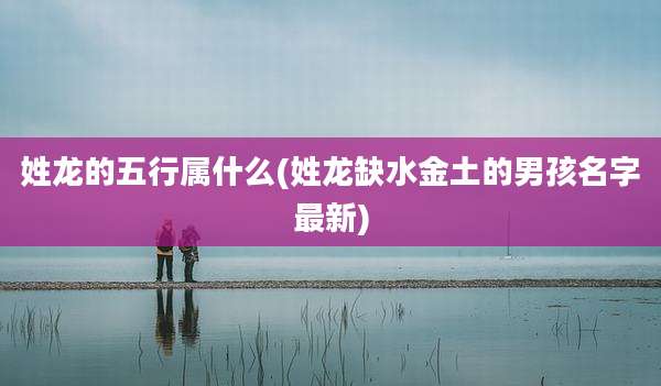 姓龙的五行属什么(姓龙缺水金土的男孩名字最新)