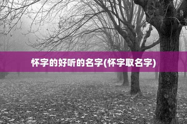怀字的好听的名字(怀字取名字)