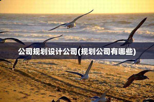公司规划设计公司(规划公司有哪些)