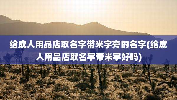 给成人用品店取名字带米字旁的名字(给成人用品店取名字带米字好吗)