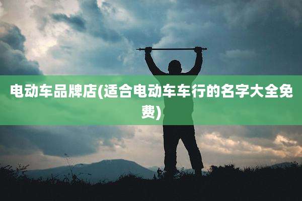 电动车品牌店(适合电动车车行的名字大全免费)
